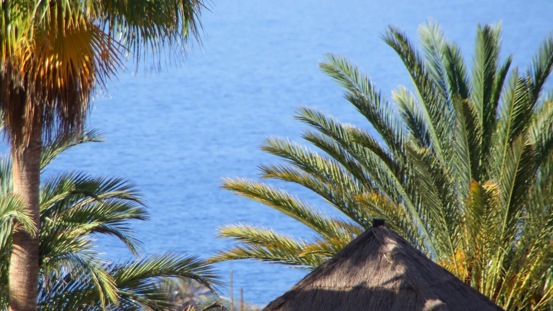 Bahia Principe Sunlight Costa Adeje Hotel Spain